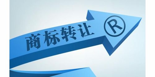 商務(wù)服務(wù)企業(yè)商情 商務(wù)代理與代辦服務(wù)的市場機(jī)遇與發(fā)展策略